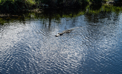 Big Cypress National Preserve