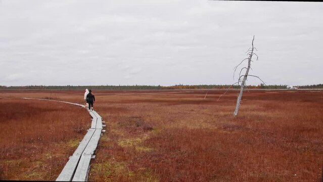 A bird path in Ilmakkiaapa nature protection area in Finland