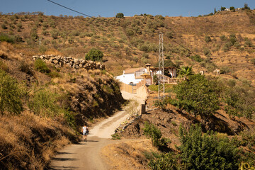Obraz premium A person walk up a lonely road in a Spanish mountain valley peppered with white stone walled houses. The area is near Arenas in the mountains of Andalusia near Malaga 
