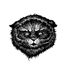 Cat monster  fabulous the scary funny demonic beast in Cheshire