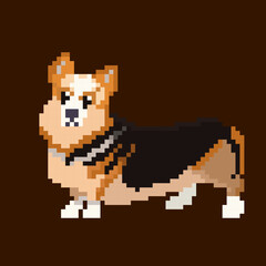 Pixel corgi korgi dog. black and red color. black nose white paws. funny long body carcass. vector isolated illustration. Clip concept art character animal for video 2d retro game.