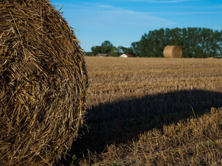 bales of hay © Anna
