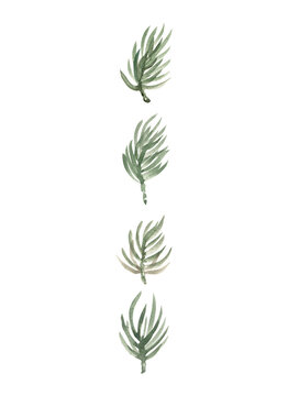 Christmas poster from a row of coniferous twigs. Isolated watercolor illustration for your design. Perfect for holiday decor, textiles and posters