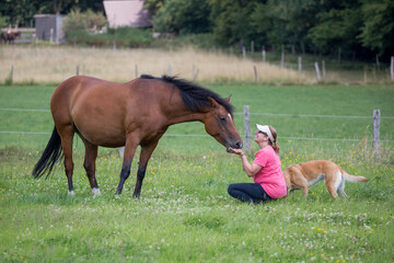Reiterin mit Pferd