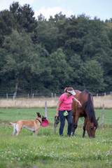 Reiterin mit Pferd