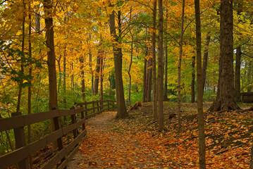 Leafy path along a fence in a northern Ohio park amid autumn colors