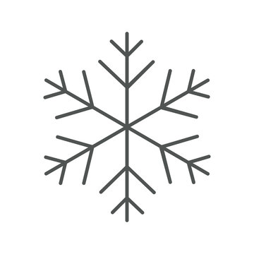 Snowflake line icon. Winter object concept. Vector illustration concept