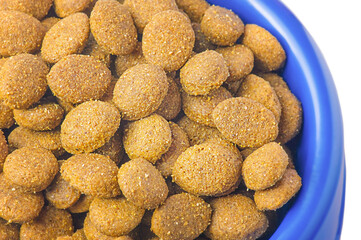 Dry food croquettes for cats or dogs in a blue bowl. Food for animals, pets.