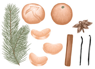 Tangerine collection with cinnamon, vanilla, anise ingredients. Christmas seasoning vector set.