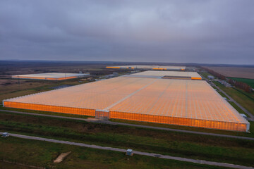 Aerial view of large modern glass greenhouse complex