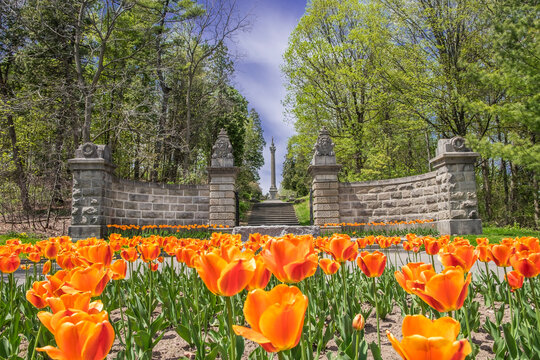 Bright orange tulips at the entrance to the Brock's Monument at Queenston Heights in Queenston Ontario Canada.
