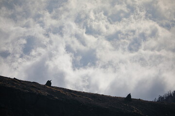 Signpost rocks and sea of clouds on the mountain trail