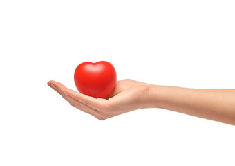 Female Hand Holding Red Heart.