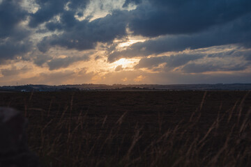 sunset in the field