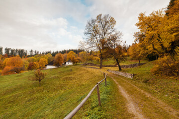 Colourful autumn in Kaliste village, Slovakia near Banska Bystrica.