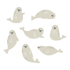 Vector illustration of cute seals