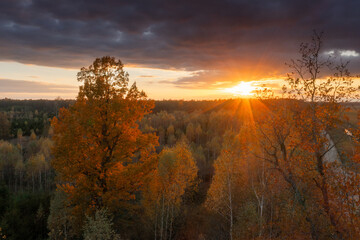 Autumn sunset over forest