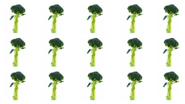Pop art style background of 15 spinning stocks of broccoli in a seamless loop.