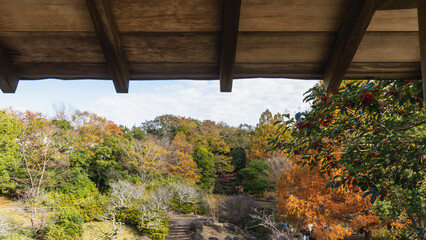 日本の秋の風景・木造屋根と秋の景色