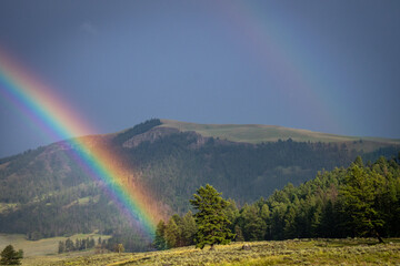 Rainbow over Specimen Ridge, Yellowstone National Park