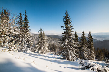 Snowy winter landscape. Snow covered trees in forest. Low Tatras National Park Slovakia. Christmas postcard.