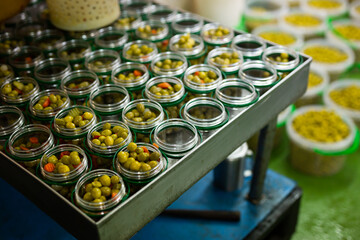 Process of filling of glass jars with pickled olives in packaging shop at artisanal food producing factory