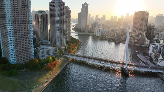 Tokyo city at sunset, flying above Sumida River in Japanese capital, skyscrapers in Asian metropolitan city, urban environment