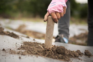 unrecognizable person's hand with wooden stake digging for chili planting