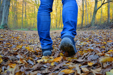 A man walks on autumn leaves through the forest. Walking in nature, hiking and beautiful scenery....