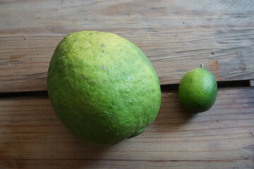 Very large lime fruits harvested in Guatemala