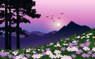flowers in the mountains sunset landscape