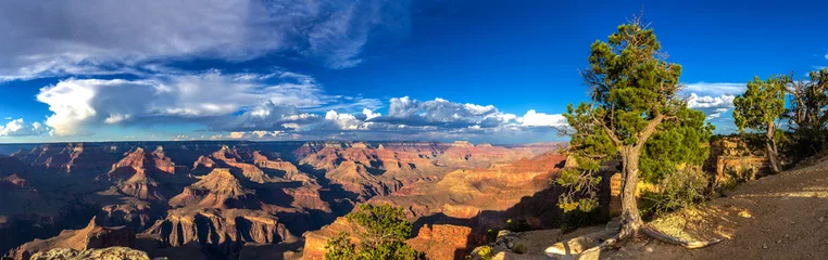 Fotobehang Grand Canyon National Park © Sergii Figurnyi