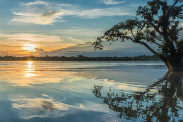 Magnificent sunset on the lakeside landscape of the Laguna Grande with a Macrolobium tree in silhouette and beautiful colours reflecting in the calm water - Cuyabeno amazonian national park Ecuador