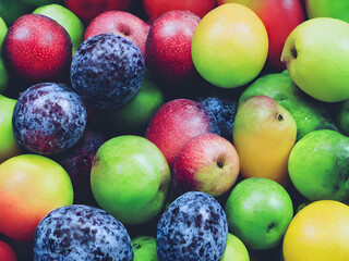 Fruits and Vegetables