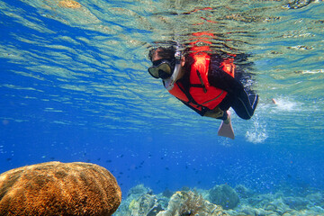 Indonesia Alor Island - Marine life Woman snorkeling in coral reef