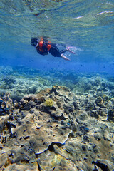 Indonesia Alor Island - Marine life Woman snorkeling in coral reef
