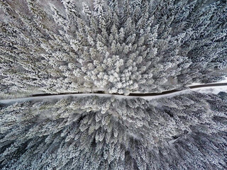 Aerial shot of beautiful snow covered landscape and trees, Christmas holiday time