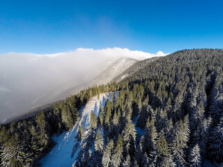 Aerial shot of beautiful snow covered landscape and trees, Christmas holiday time