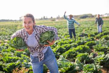 Scared woman fleeing farm field with stolen savoy cabbages in hands