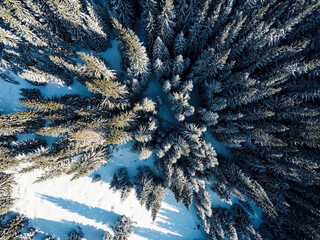 Aerial shot of beautiful snow covered landscape and trees, Christmas holiday time