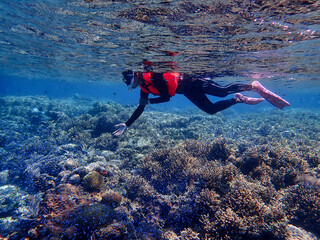 Indonesia Alor Island - Marine life Woman snorkeling in coral reef