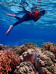 Indonesia Alor Island - Marine life Woman snorkeling in coral reef