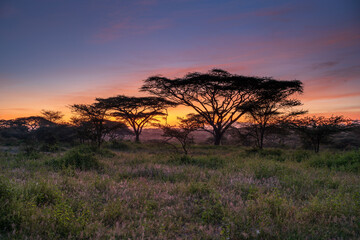 Tanzania sunset