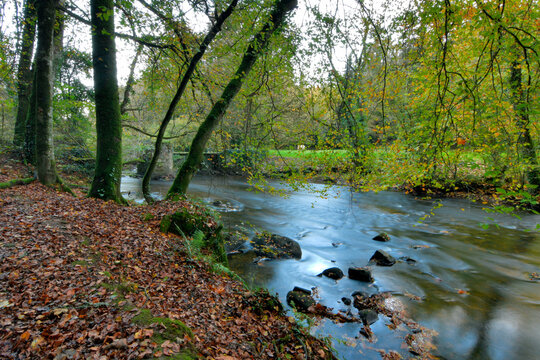 Jolie vue en automne le long du Léguer dans le Trégor - Bretagne France