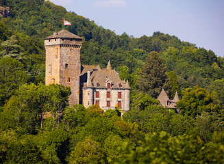 Fototapeta na wymiar Picturesque view of medieval Pesseils Castle towering near Polminhac on hillside among greenery of forest on sunny summer day, Cantal department, France