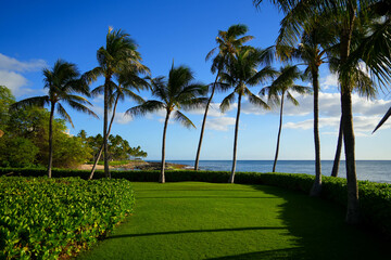 Kapolei, Hawaii / February 23, 2022 : Perfect green lawn on the coast of the Pacific Ocean at the Paradise Cove Luau in Ko Olina, a touristic area on the western shore of O'ahu island in Hawaii - obrazy, fototapety, plakaty