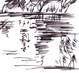 autumn dry reed over water, graphic black and white drawing