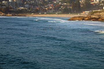 Landscape with surfers - Coastal Walk, Sydney, Australia