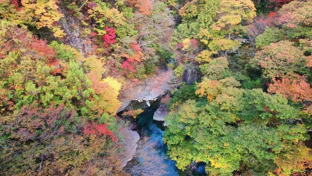 付知峡の紅葉（攻橋からの眺め）