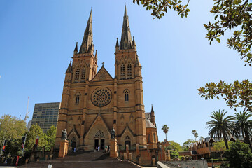 Landscape with St Mary's Cathedral - Sydney, Australia